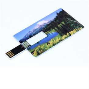 Флешка Card1 с нанесением центрального типа.