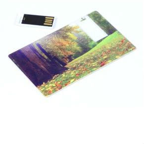 флешка-кредитка Card3 - мини-флешка вынимается из пластиковой карты